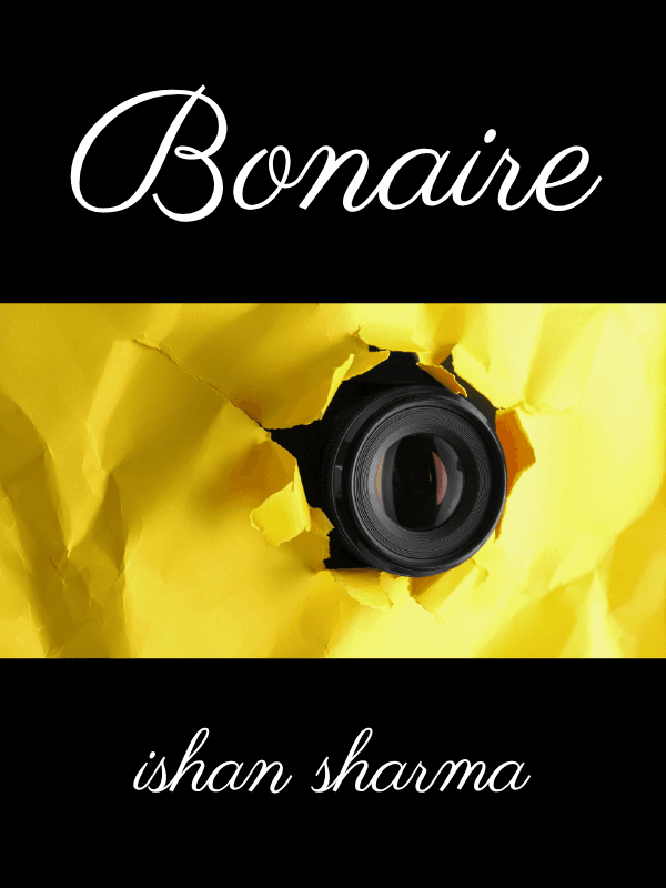 Bonaire cover